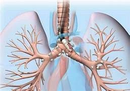 endobronchial-ultrasound-treatmentn